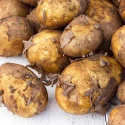 New Lincoln Potatoes