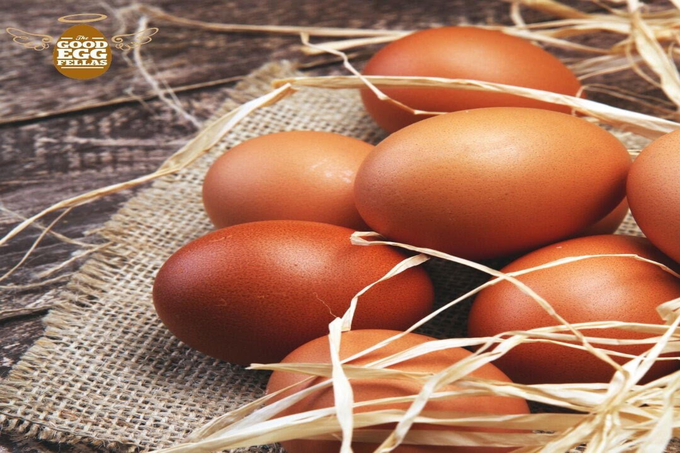 Good Fellas Eggs